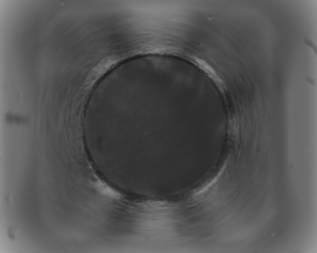 X0000091340577200708311458