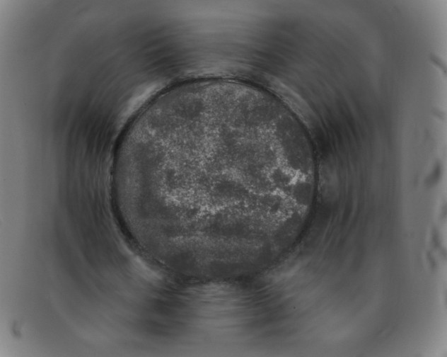 X0000091340578200708311458