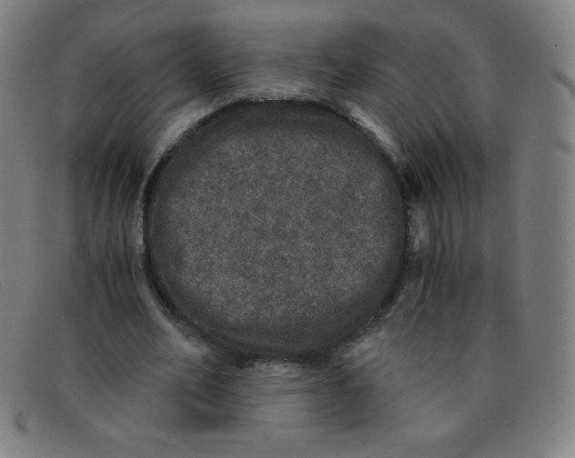 X0000091340582200708311458