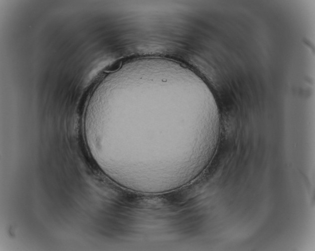 X0000091340583200708311458