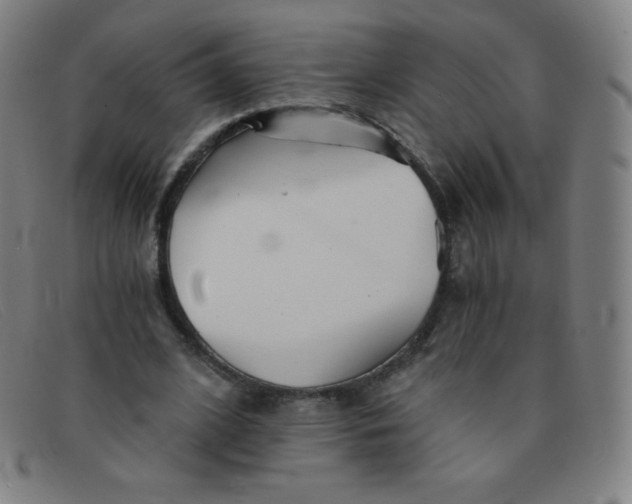 X0000091340584200708311458