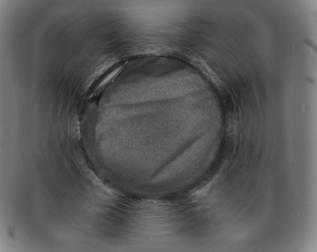 X0000091340585200708311458