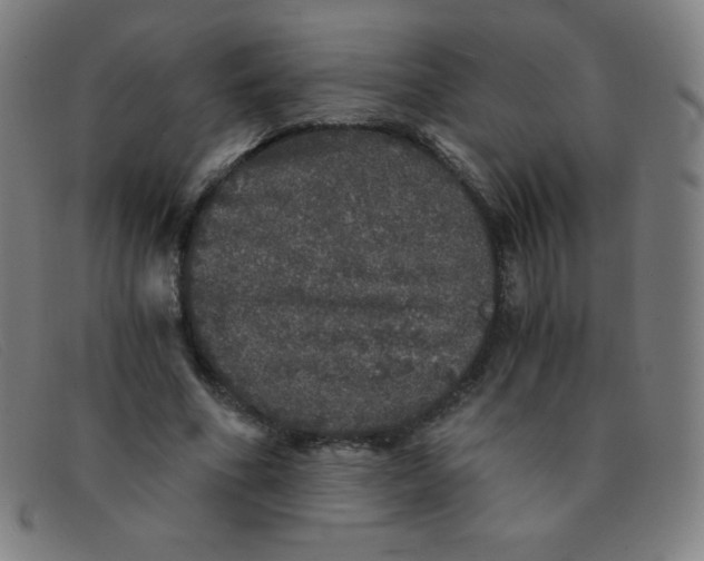 X0000091340586200708311458