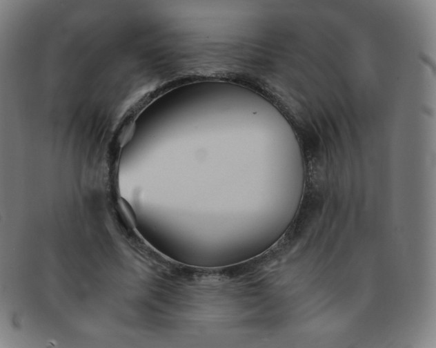 X0000091340587200708311458