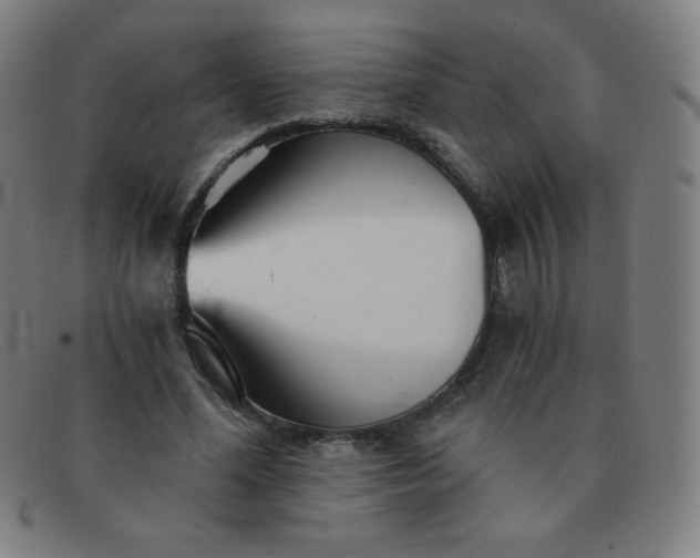 X0000091340588200708311457