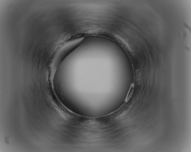 X0000091340589200708311457