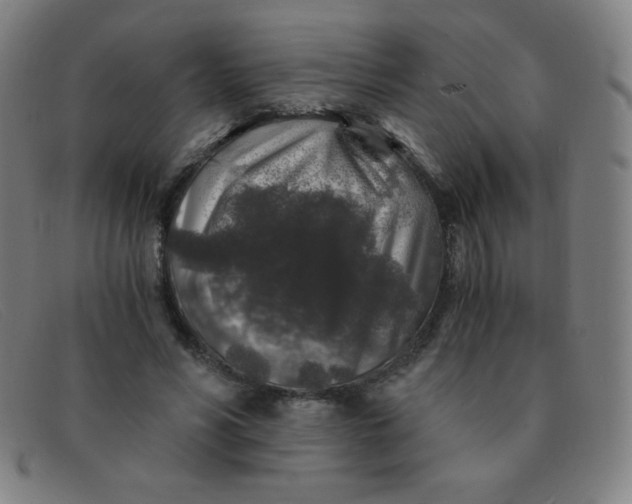 X0000091340590200708311457