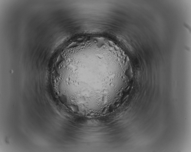 X0000091340591200708311457