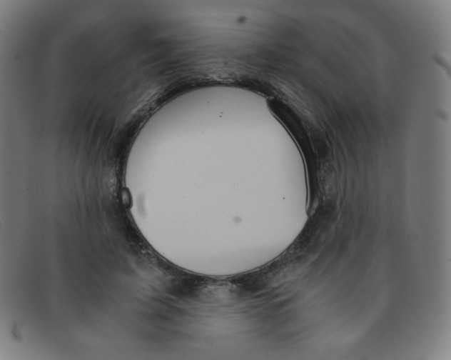 X0000091340595200708311457