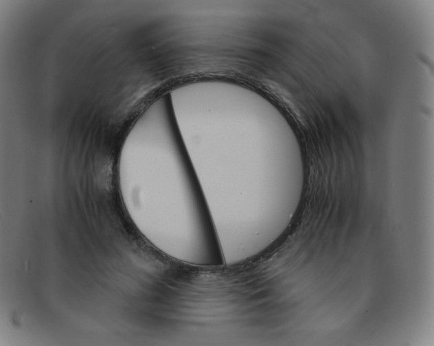 X0000091340596200708311457