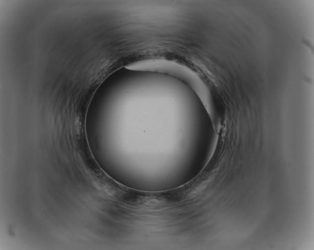 X0000091340597200708311457