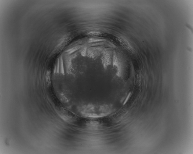 X0000091340598200708311457