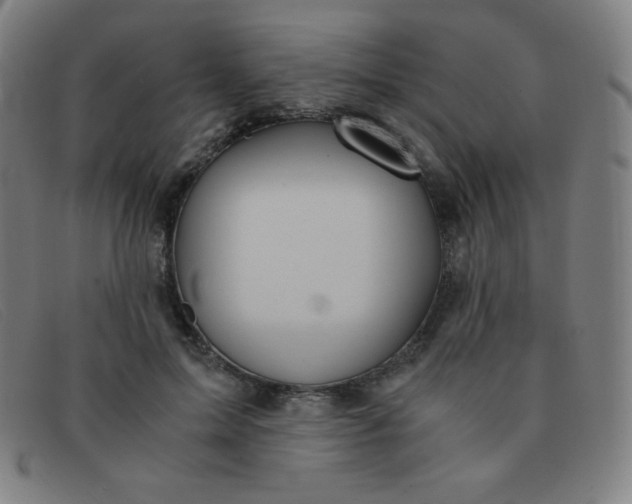 X0000091340599200708311457