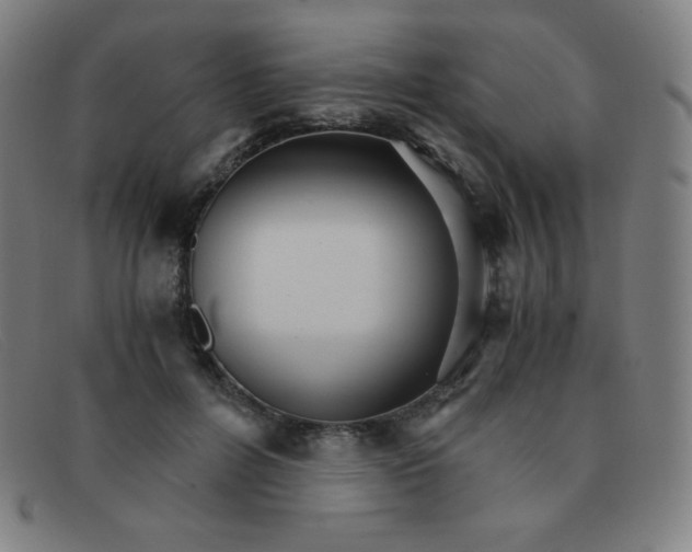 X0000091340600200708311457