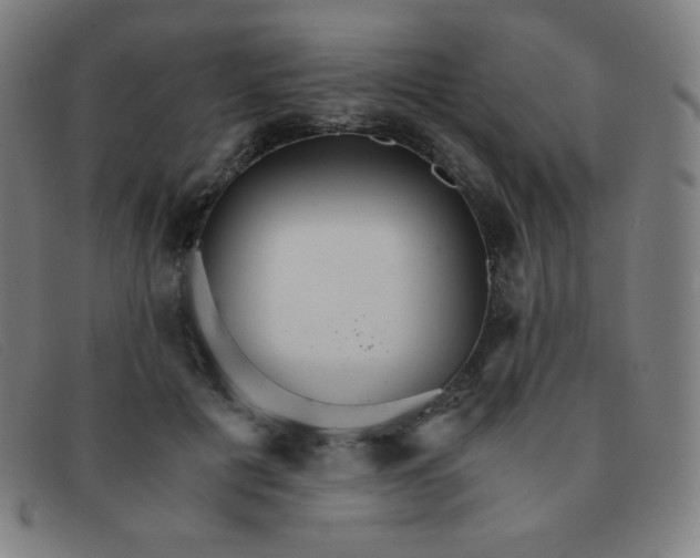 X0000091340601200708311457