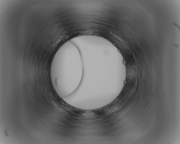 X0000091340603200708311457