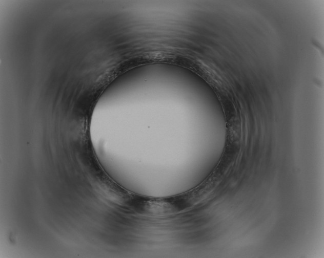 X0000091340605200708311457