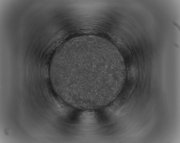 X0000091340606200708311457