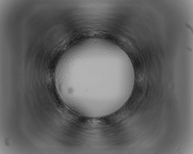 X0000091340607200708311457