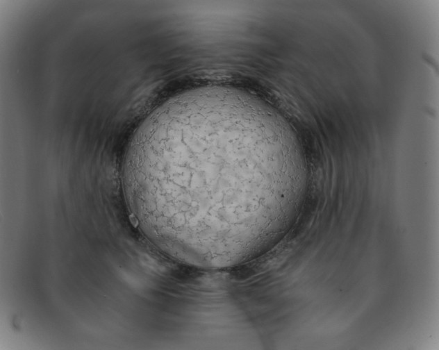 X0000091340609200708311457