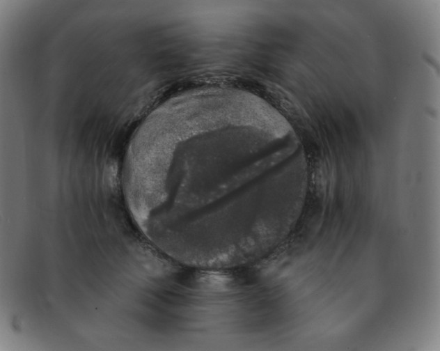 X0000091340610200708311457