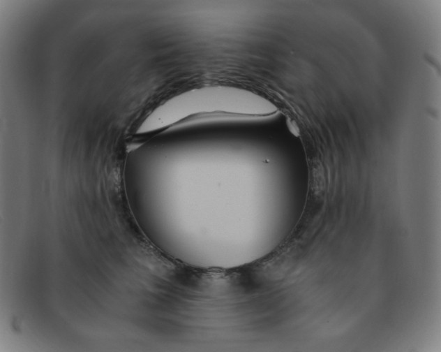 X0000091340613200708311457