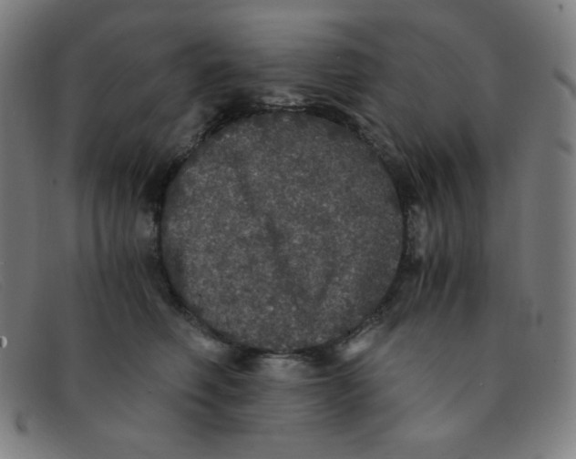 X0000091340614200708311457