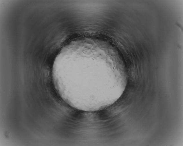 X0000091340615200708311457