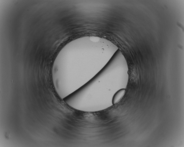 X0000091340616200708311457