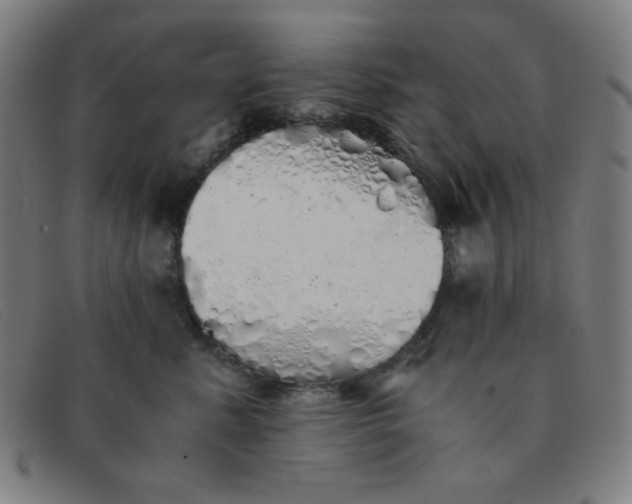 X0000091340619200708311457