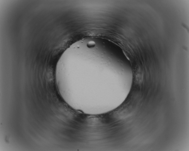 X0000091340620200708311457