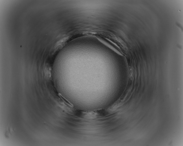 X0000091340621200708311457