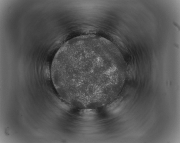 X0000091340622200708311457