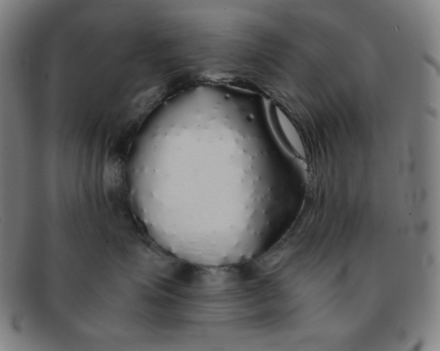 X0000091340623200708311457