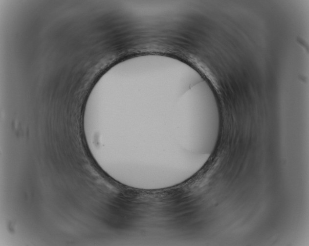 X0000091340625200708311456