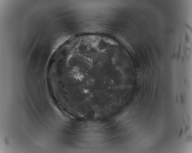 X0000091340626200708311456