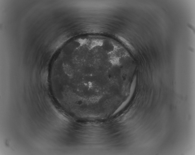 X0000091340627200708311456