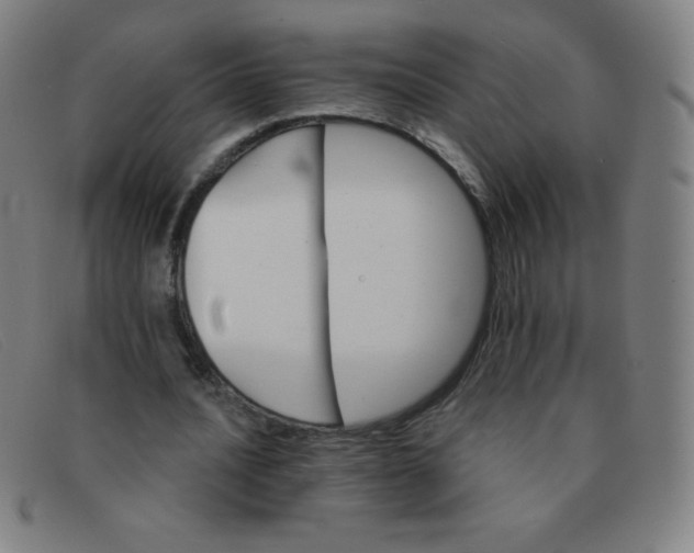 X0000091340628200708311456