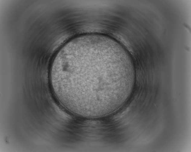 X0000091340629200708311456