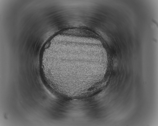 X0000091340630200708311456