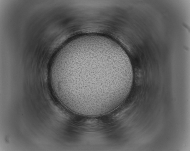 X0000091340631200708311456