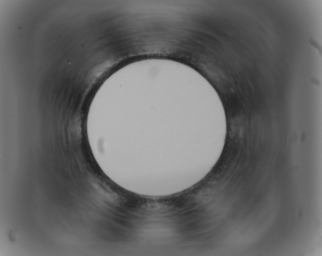 X0000091340632200708311456