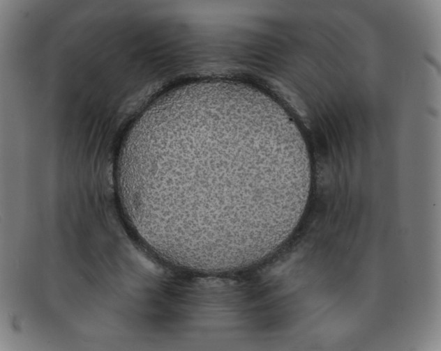 X0000091340633200708311456