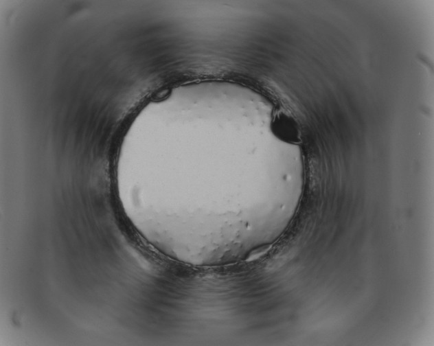 X0000091340634200708311456