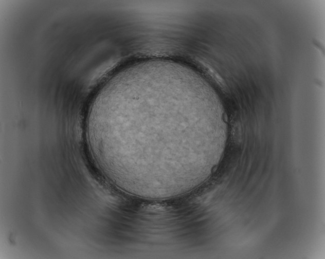 X0000091340635200708311456