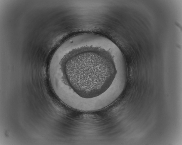 X0000091340636200708311456