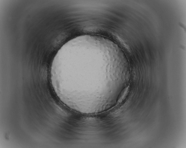 X0000091340637200708311456