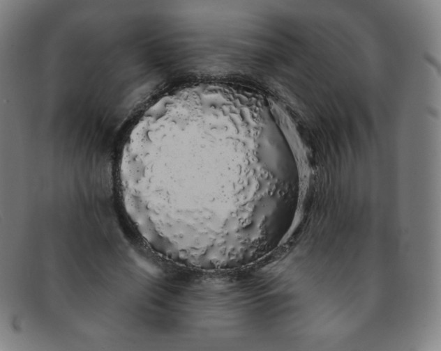 X0000091340638200708311456