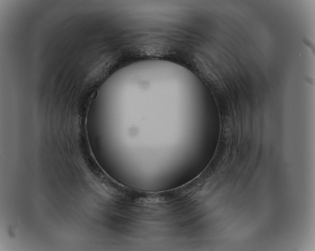 X0000091340639200708311457