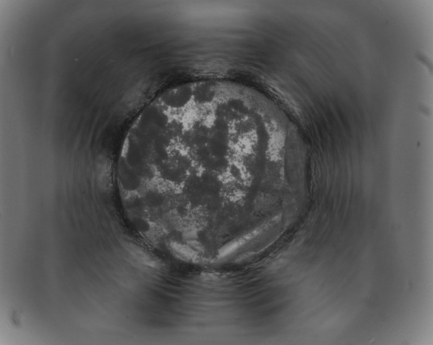 X0000091340641200708311457